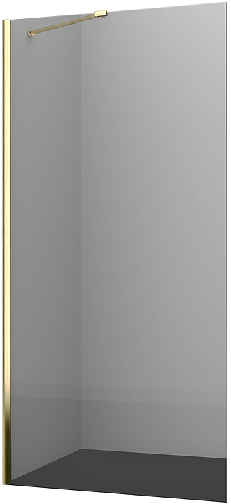 Перегородка душевая Wasserkraft Aisch 55W44 100х200 см, профиль матовое золото