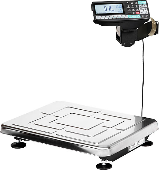 Весы торговые МАССА-К TB-S-32.2-RP1