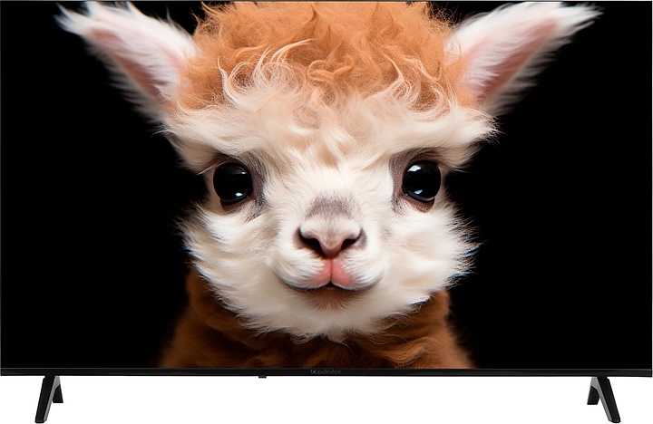 Телевизор Topdevice TDTV50ES13U_BK