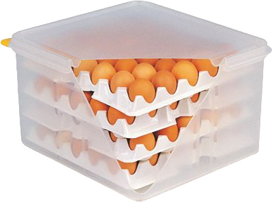 Контейнер для хранения яиц APS 82419