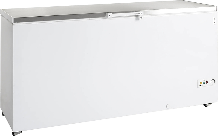 Ларь морозильный TEFCOLD FR605 SL/R600