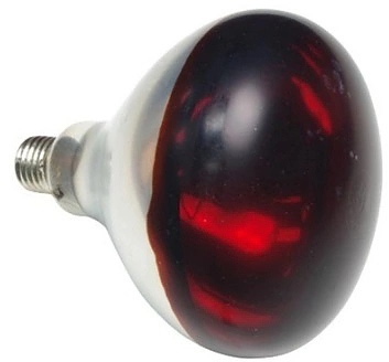 Лампа Kocateq DHWD652 warmer bulb (250W, E27)