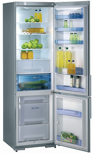 Холодильник Gorenje RK 65365 E