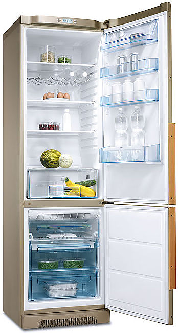 Холодильник Electrolux Professional ERF 37410 AC