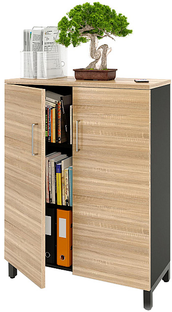 Шкаф для документов ZAMM 3 полки, 2 двери МК 414 90х41,4х120 см фасад дуб Бардолино, корпус черный