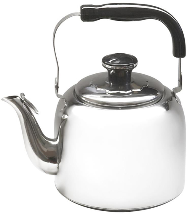 Чайник Клен RGS-4608