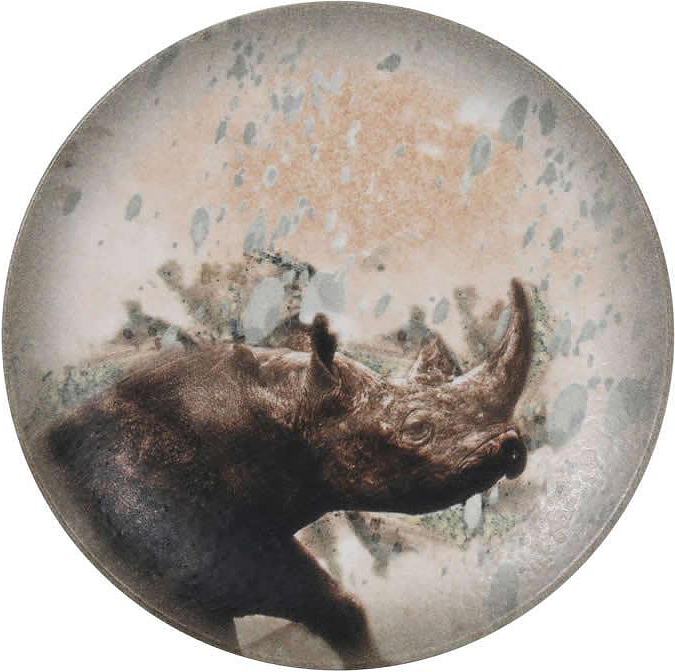 Тарелка Bonna S-MT-SAVRHGRM23DZ