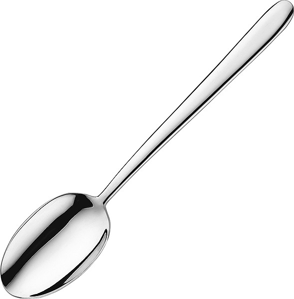 Ложка столовая Pintinox Priviledge 05100001 L=21 см (нерж. сталь) серебристая