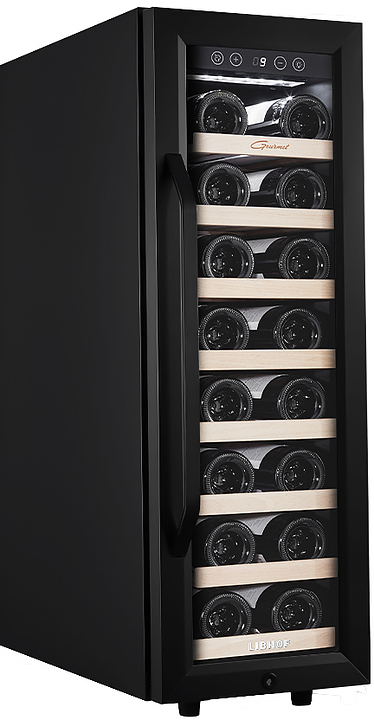 Винный шкаф Libhof Gourmet GZ-21 Tungsten