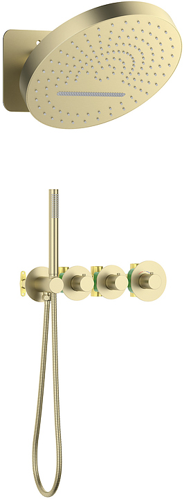 Комплект душевой TIMO Saona SX-2329/17SM