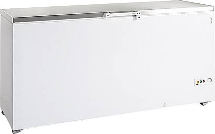 Ларь морозильный TEFCOLD FR605S