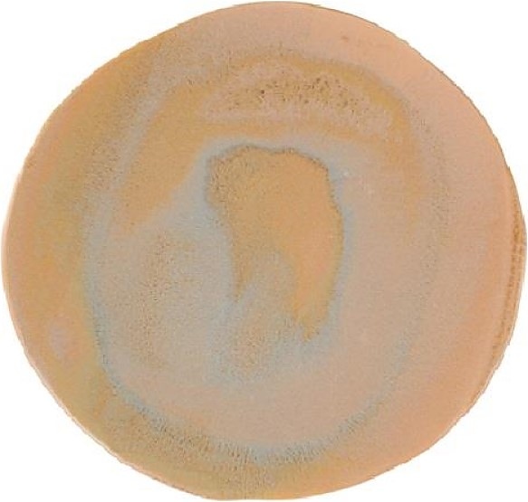 Тарелка Porland Stoneware Savanna 18DC22 220 мм