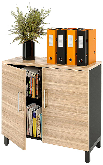 Шкаф для документов ZAMM 2 полки, 2 двери МК 414 90х41,4х83,7 см фасад дуб Бардолино, корпус черный