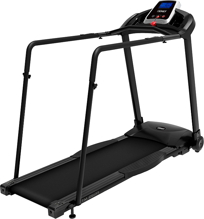Дорожка беговая FAMILY TM 250R