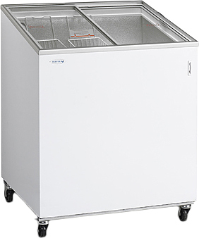 Ларь морозильный TEFCOLD IC200SCE