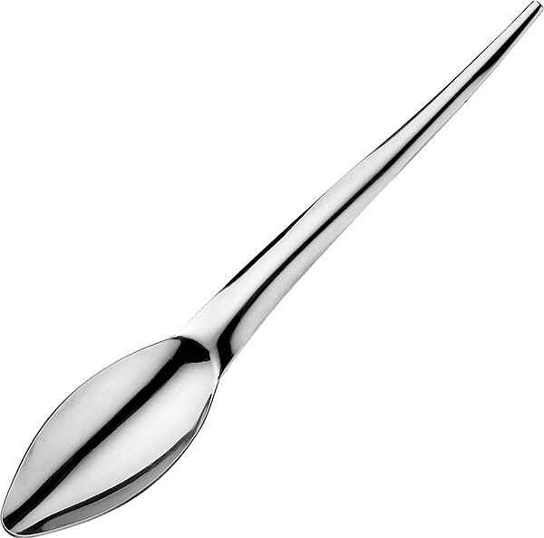 Ложка столовая Pintinox Snake 11400001 L=21 см (нерж. сталь) серебристая