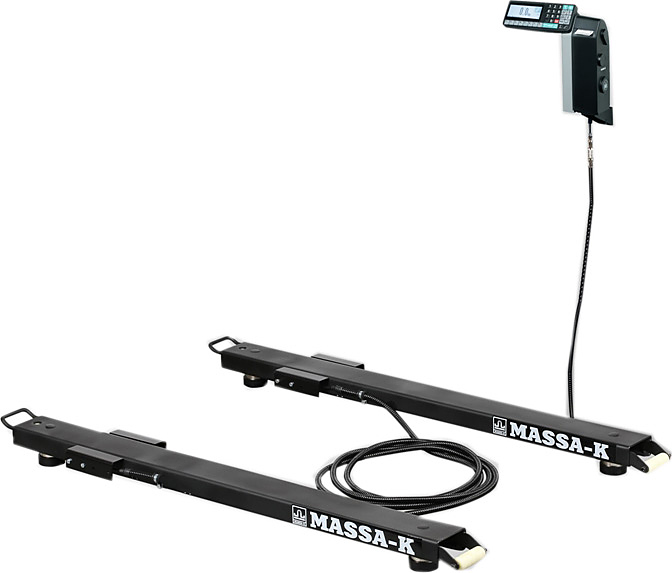 Весы стержневые МАССА-К 4D-B-12/1-1000-RL
