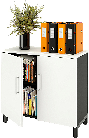 Шкаф для документов ZAMM 2 полки, 2 двери МК 414 90х41,4х83,7 см фасад белый, корпус черный