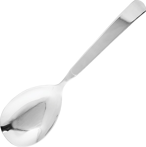 Ложка сервировочная Pintinox Astra 07600060 L=26 см (нерж. сталь) серебристая