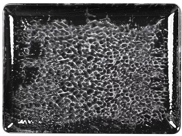 Тарелка прямоугольная Kutahya Magnetite BNTAN30x22DU890220 300х220 мм