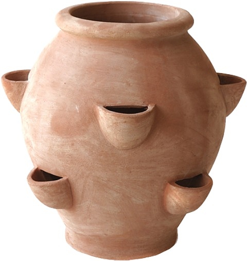 Кувшин San Rocco Fragoliera (70х70 см)