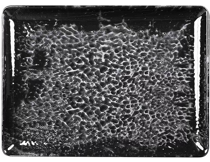 Тарелка с плоским дном Kutahya Magnetite BNTAN35x26DU890220 350х260 мм