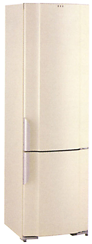 Холодильник Gorenje RK 62391 C