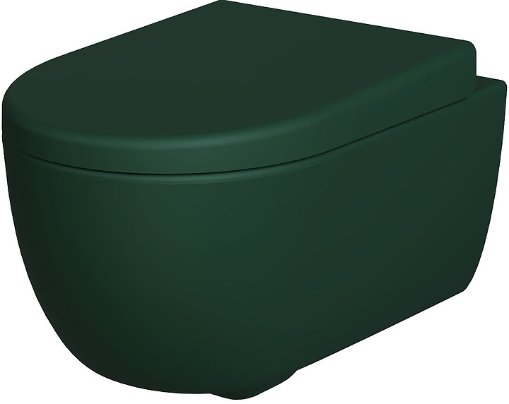 Унитаз подвесной с крышкой-сиденьем Ambassador Abner 103T20701R-102T20701 зеленый матовый