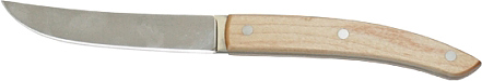 Нож для стейка ICEL Steak Knife 234.ST02.11