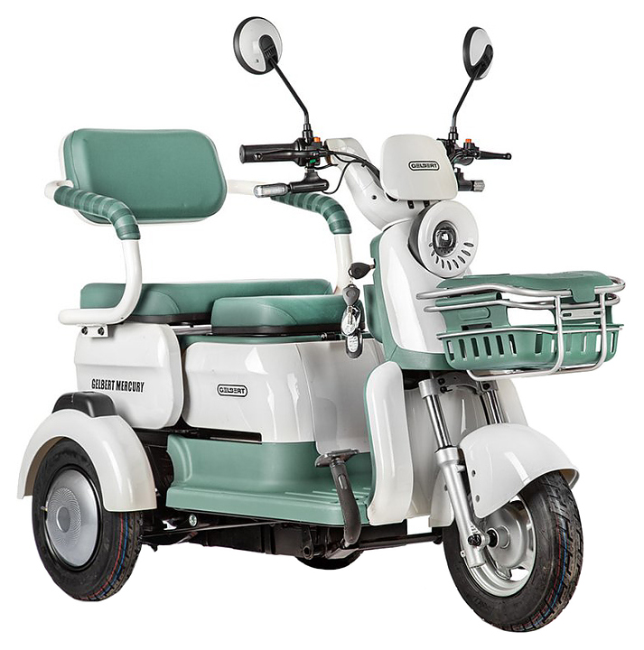 Трицикл Rutrike Gelbert Mercury зеленый