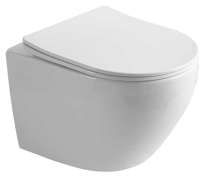 Унитаз подвесной с крышкой-сиденьем OLIVE'S PLAZA PL30116DP