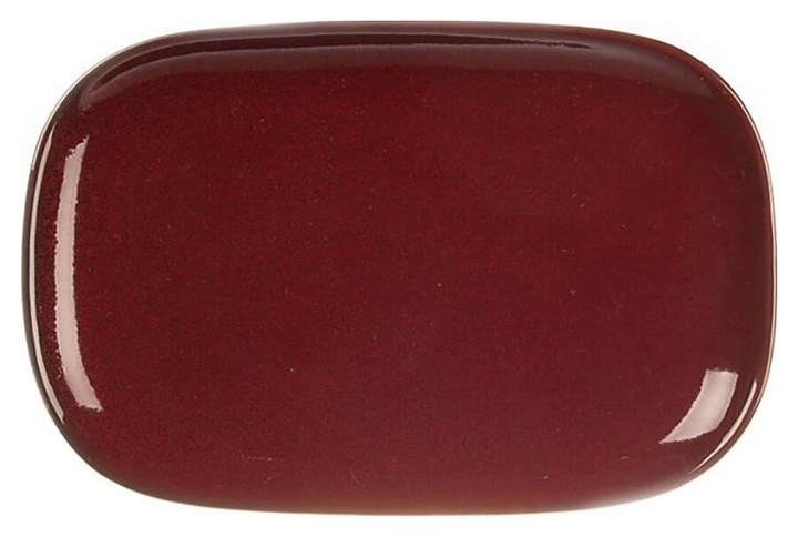 Блюдо овальное P.L. Proff Cuisine Evolution Dark Red 81223292 200х130х19 мм