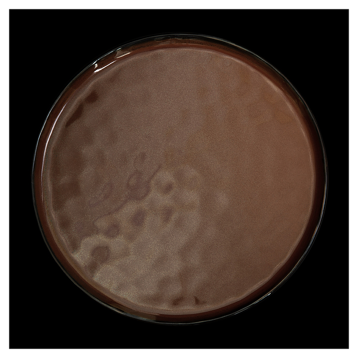 Тарелка мелкая Corone Carmen HS012571 290 мм