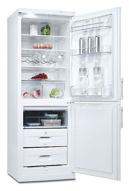 Холодильник Electrolux Professional ERB 31098 W