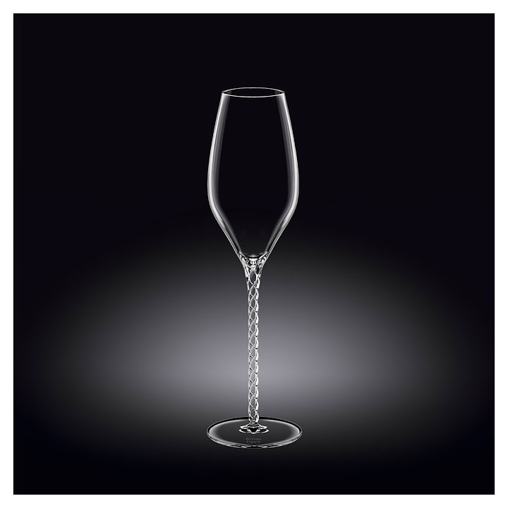 Набор из 2 бокалов для шампанского Wilmax WL-888104/2C