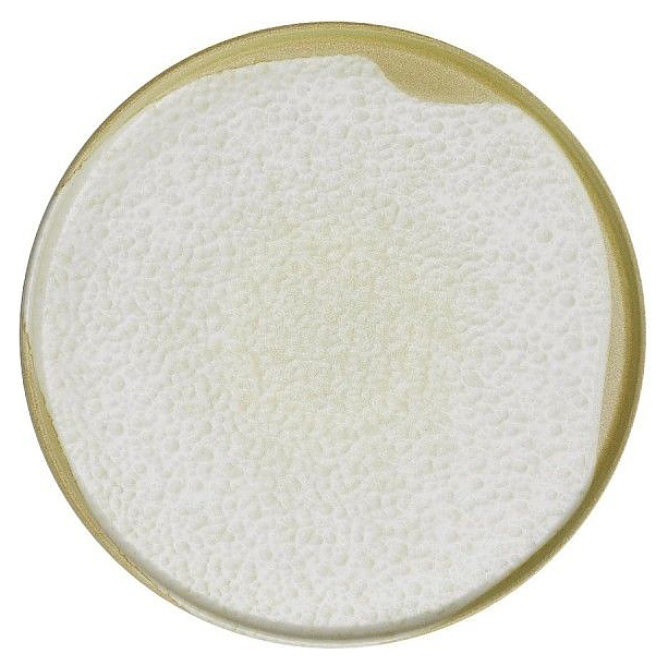 Тарелка плоская Kutahya Corendon Sand Wind BNROT20DU890552