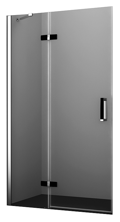 Дверь душевая Wasserkraft Aller 10H05LBLACK 120х200 см, левая, в нишу, распашная, серебристый профиль