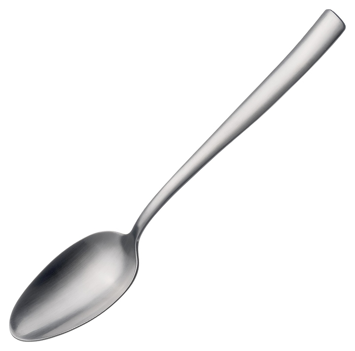 Ложка столовая Pintinox Villa Satin 255U0001 l=20,8 см (нерж. сталь)