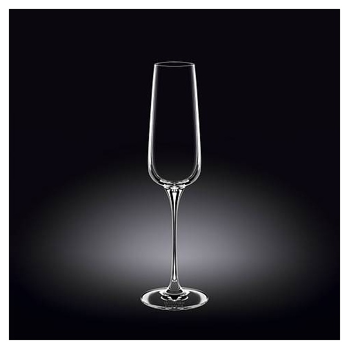 Набор из 2 бокалов для шампанского Wilmax WL-888049/2C