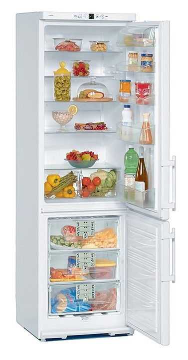 Холодильник Liebherr C 4023