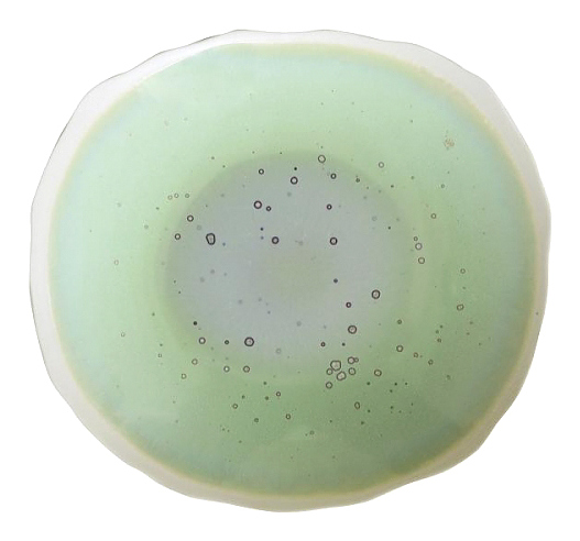 Тарелка Jars Plume 963051