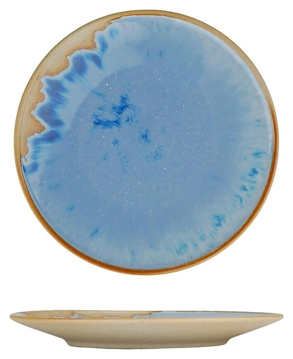 Тарелка P.L. Proff Cuisine Blue Panasia 16-252-2EJM-AS PICTURE d=21 см h=2,4 см (фарфор)