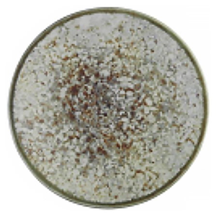 Тарелка плоская Kutahya Corendon Unearth BNTS25DU890550 декор 1