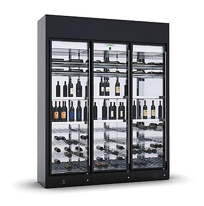 Винный шкаф Enofrigo Wine Library 3P