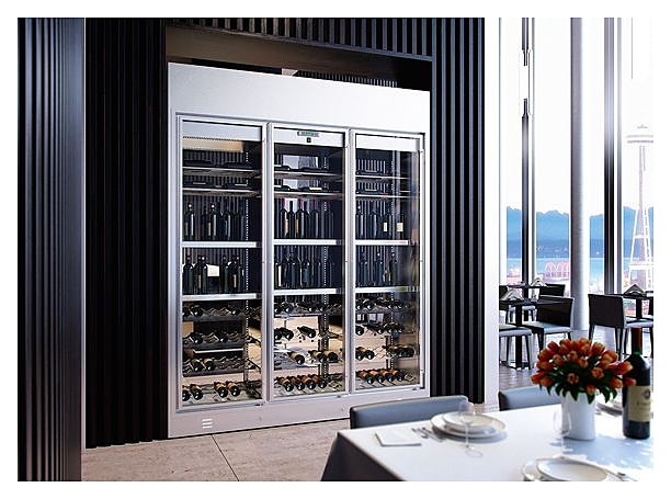 Винный шкаф Enofrigo Wine Library