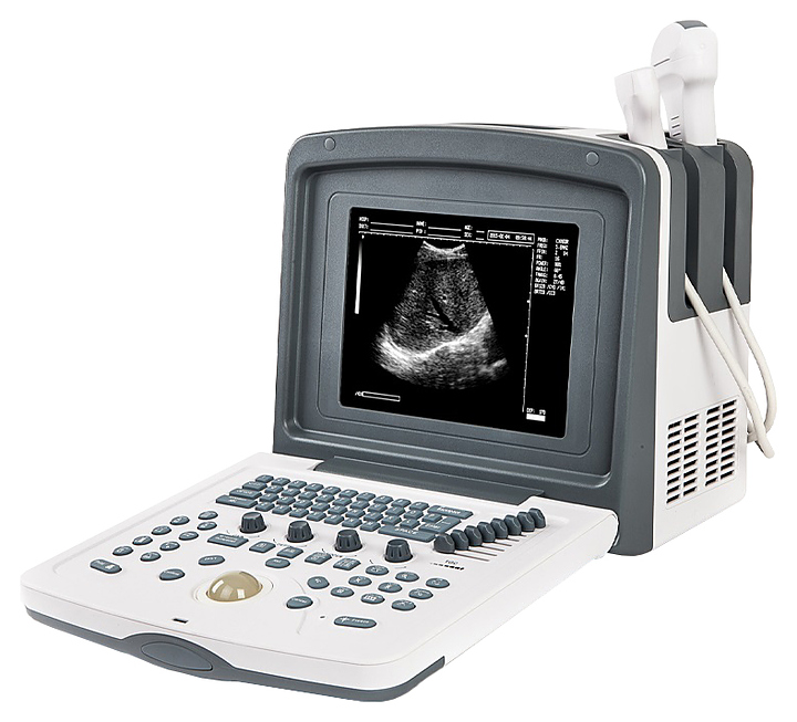 Аппарат УЗИ ветеринарный AcuVista VT880p