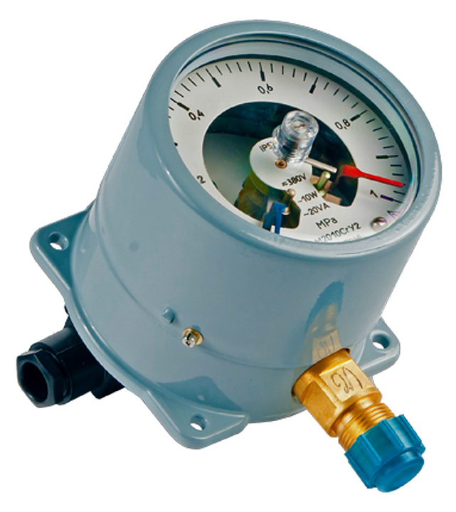 Манометр сигнализирующий радиальный Манотомь ДМ2005Сг, V группа исполнения