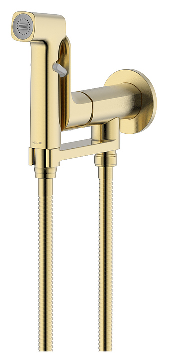 Душ гигиенический Aquatek Альфа AQ1919BG золото