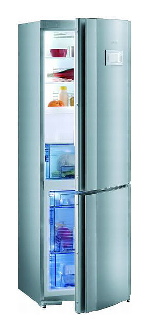 Холодильник Gorenje RK 67325 E