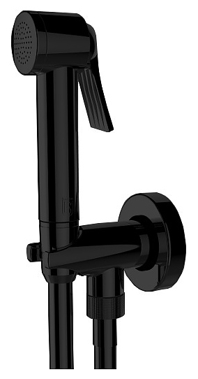 Гигиенический душ гарнитур Bossini Apice CE4002.073